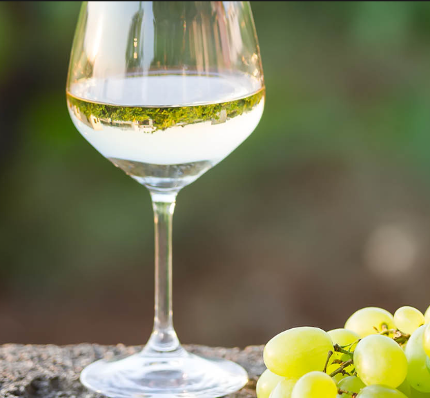 Bild von Wein